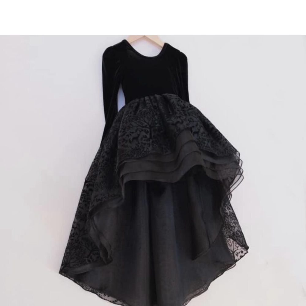 Pleiades dress, black velvet bodice, flocked layered organza skirt, hi low hem